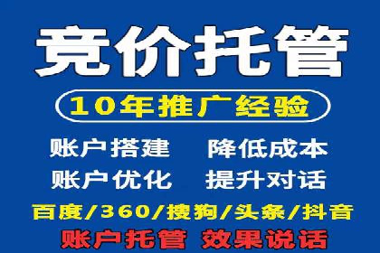 推广竞价策略优化：借鉴经典案例提升效果